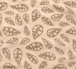 Robens Wolf Moon 5XP Tent Package -Bestway Shop robens carpet 1